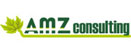 AMZ Consulting